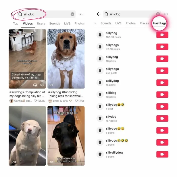 TikTok метаданные ключевых слов для поиска на платформе